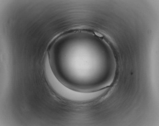 X0000113881073200909241347