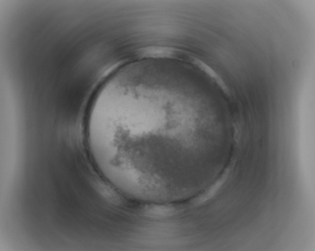 X0000113881074200909241347