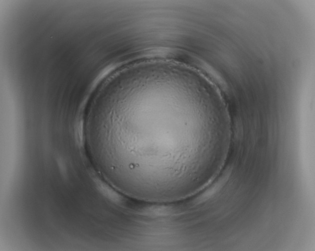 X0000113881075200909241347