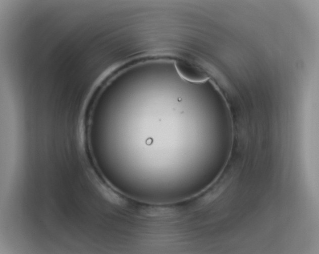 X0000113881076200909241347