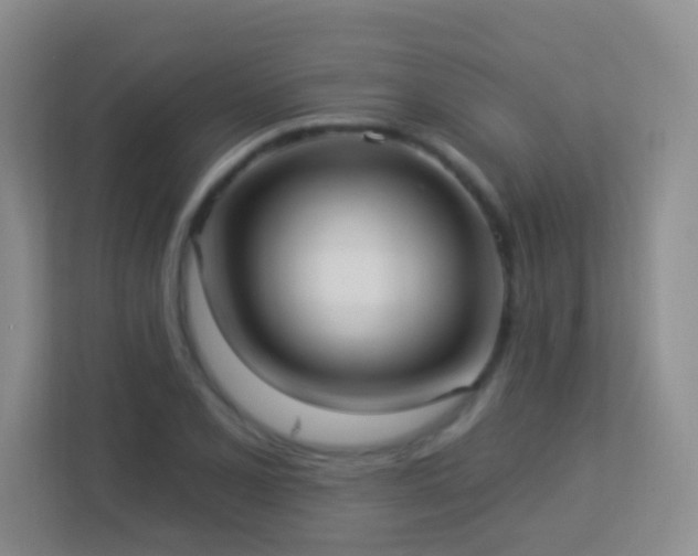 X0000113881077200909241347