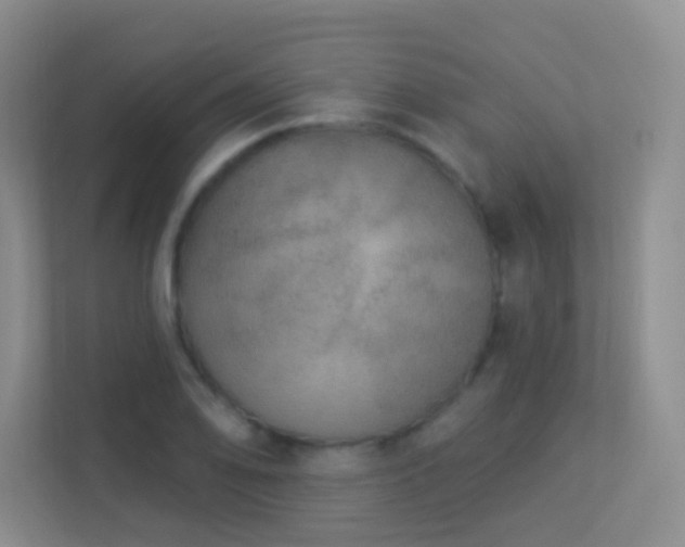 X0000113881078200909241347