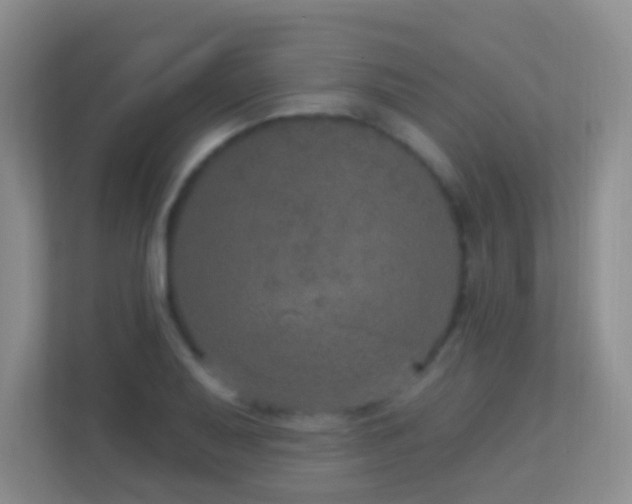 X0000113881079200909241347