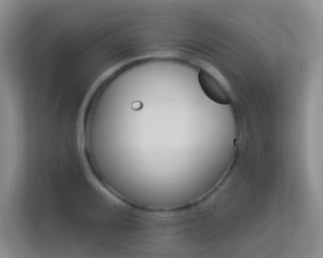X0000113881080200909241347