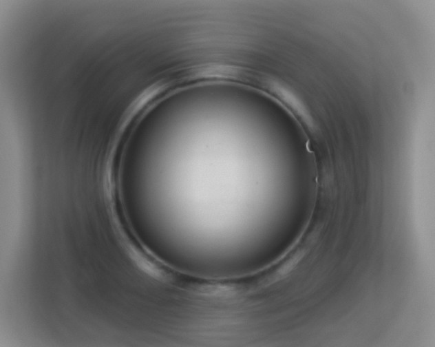X0000113881082200909241347
