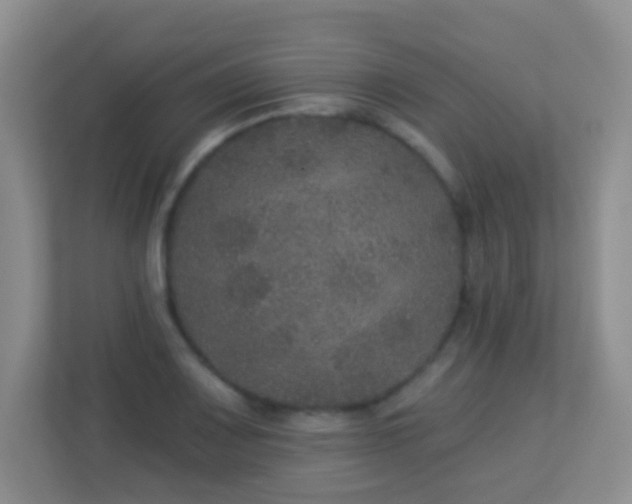 X0000113881083200909241347