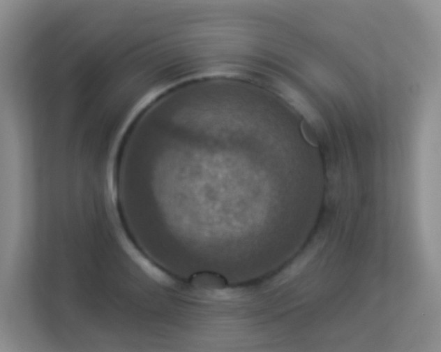 X0000113881084200909241347