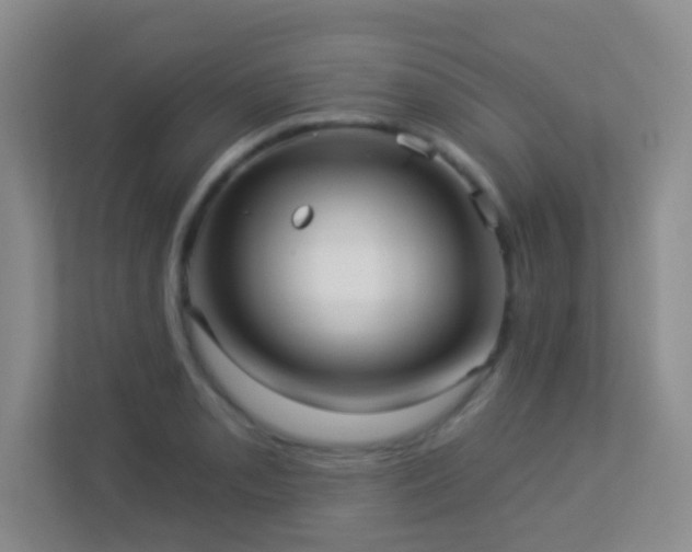 X0000113881085200909241347