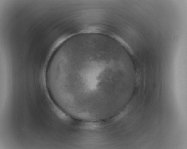 X0000113881086200909241347