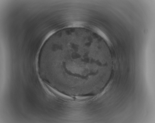 X0000113881087200909241347