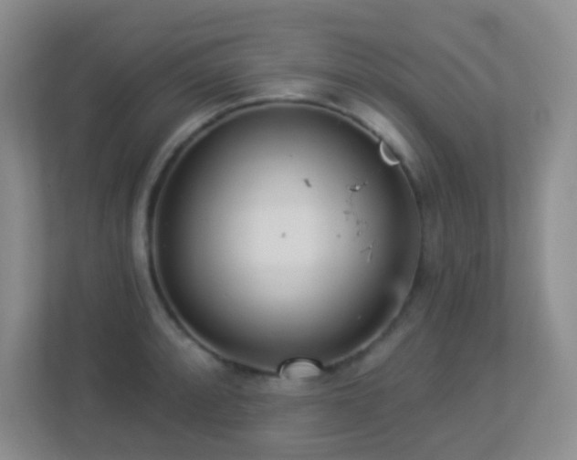 X0000113881088200909241347