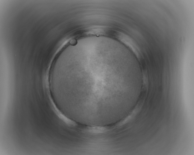 X0000113881090200909241347