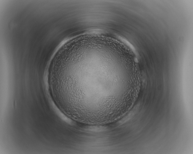 X0000113881091200909241347