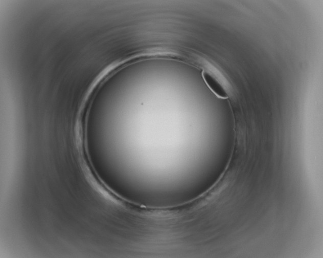 X0000113881092200909241347