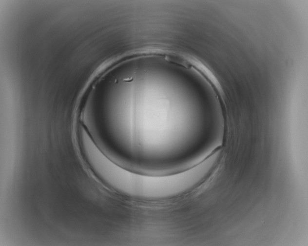 X0000113881093200909241347