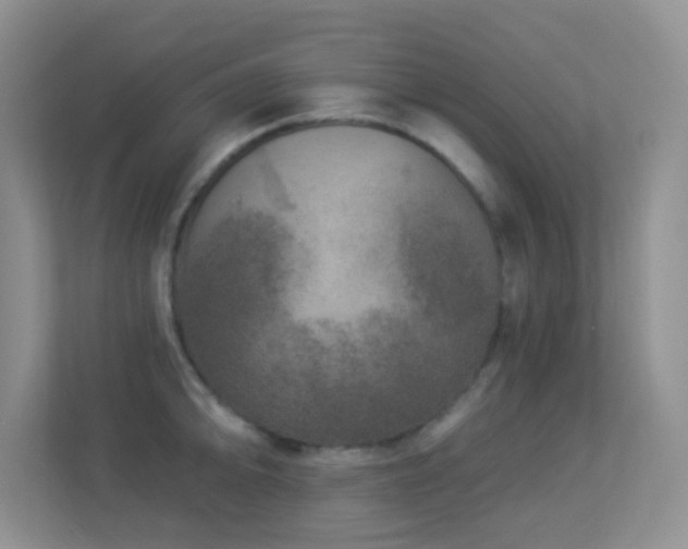 X0000113881094200909241347
