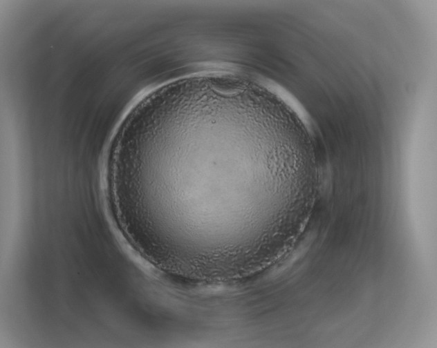 X0000113881099200909241347