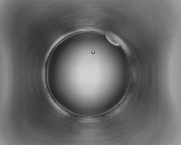 X0000113881100200909241347