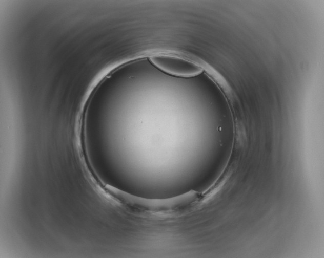 X0000113881102200909241347