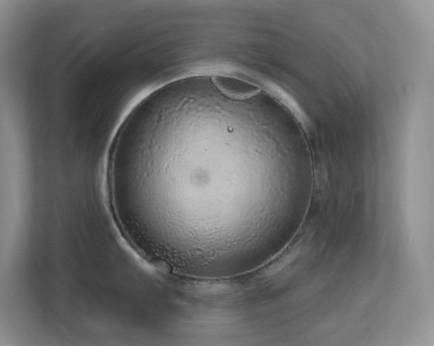 X0000113881103200909241347