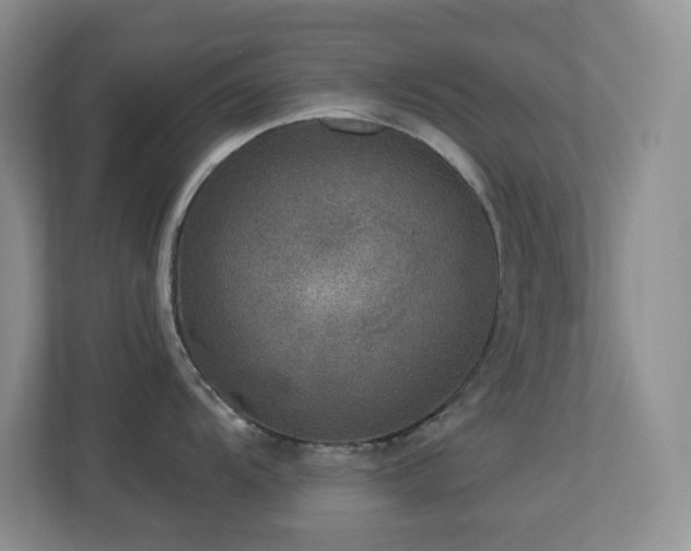 X0000113881104200909241347