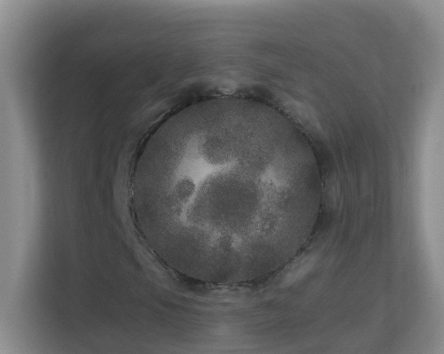 X0000113881105200909241346