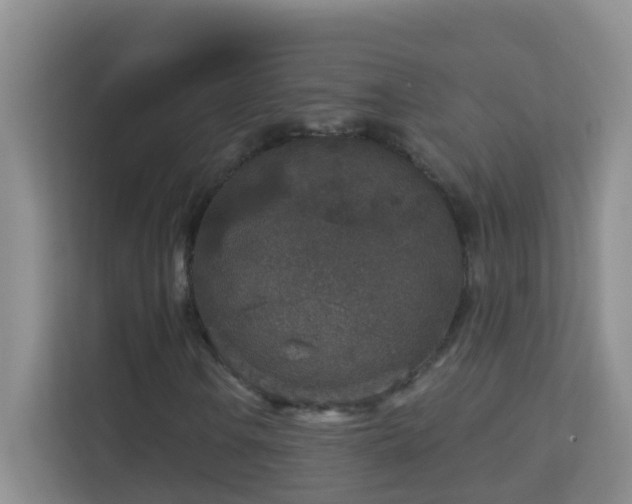 X0000113881106200909241346