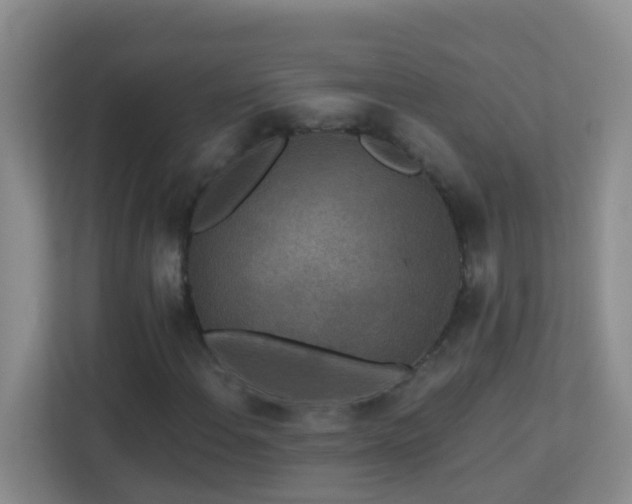 X0000113881108200909241346