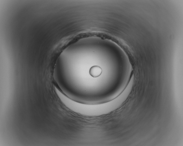 X0000113881110200909241346