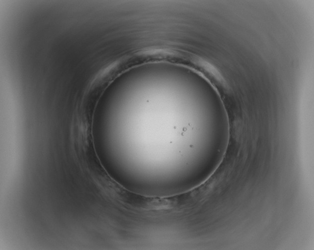 X0000113881111200909241346