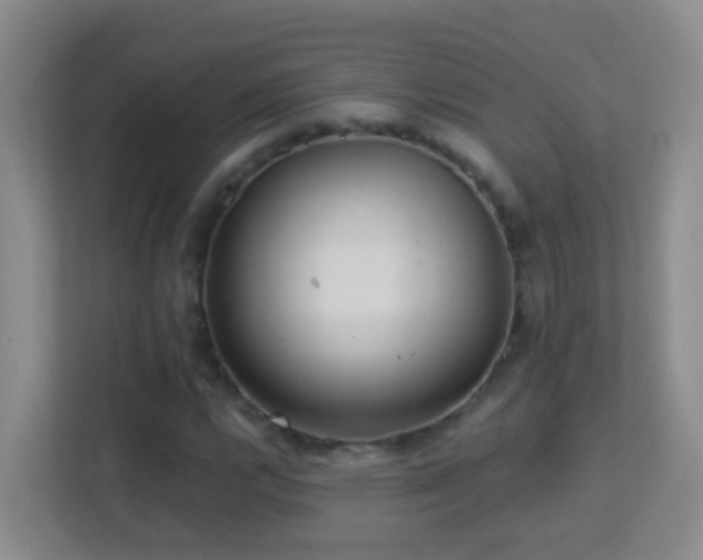 X0000113881112200909241347
