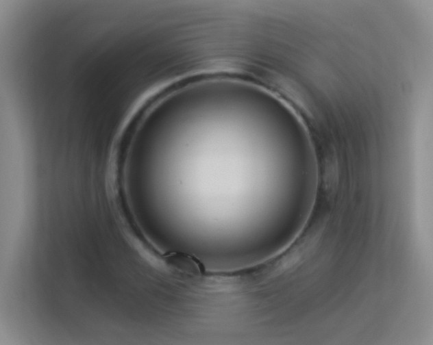 X0000113881116200909241347