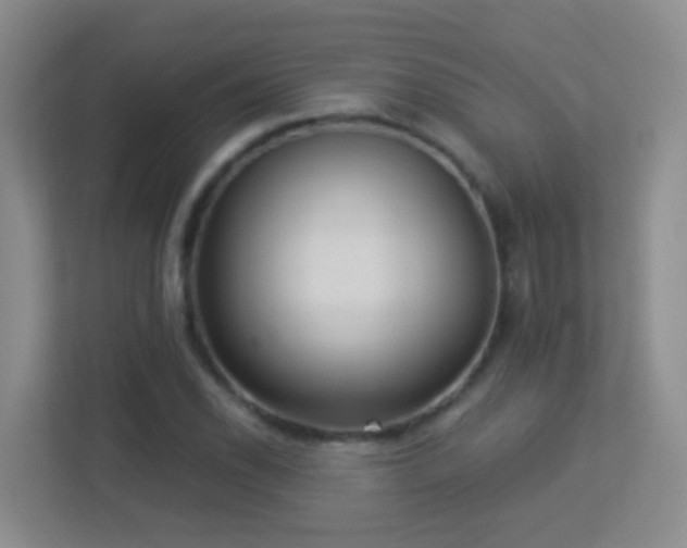 X0000113881118200909241347