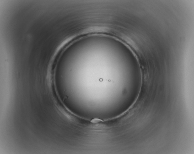 X0000113881119200909241347