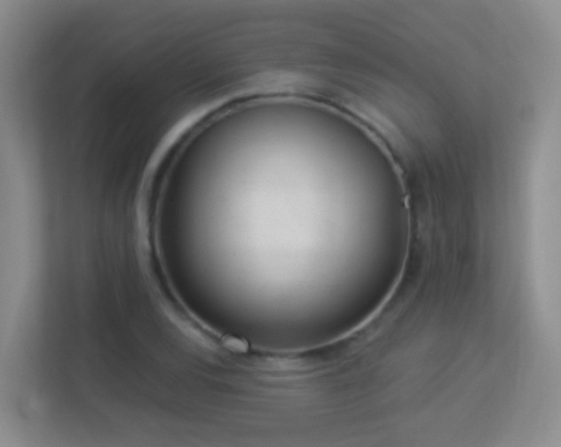 X0000113881120200909241347