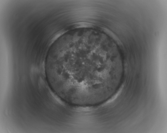 X0000113881121200909241347
