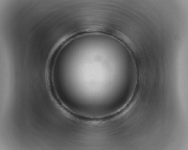 X0000113881122200909241347