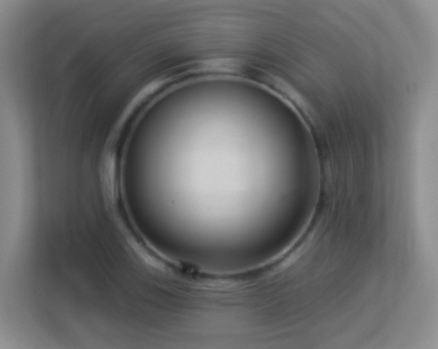 X0000113881123200909241347
