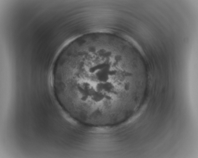 X0000113881125200909241347