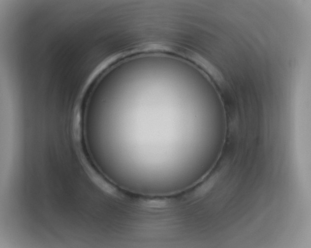 X0000113881126200909241347