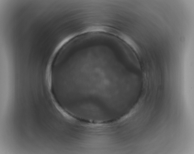 X0000113881127200909241347