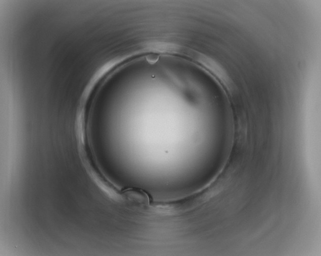 X0000113881128200909241347