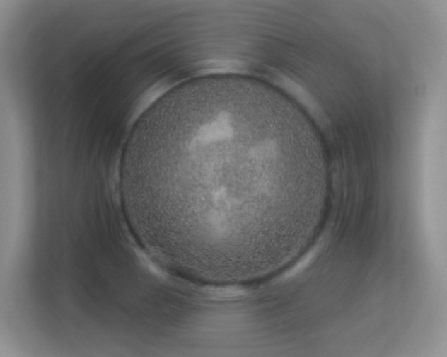 X0000113881129200909241347