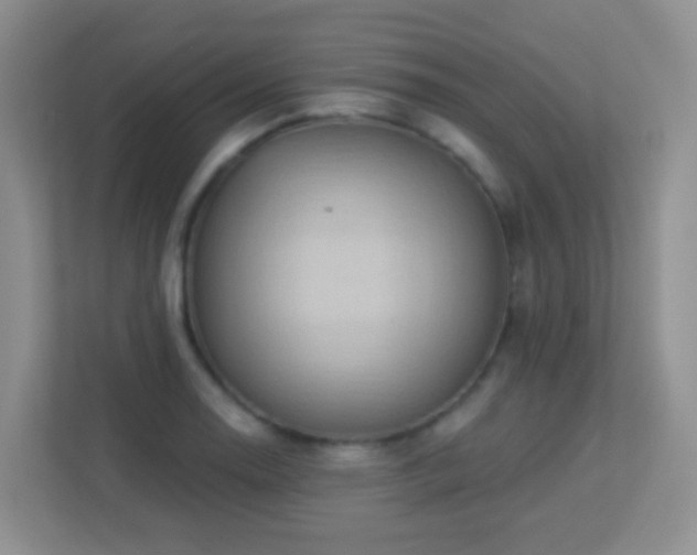 X0000113881130200909241347