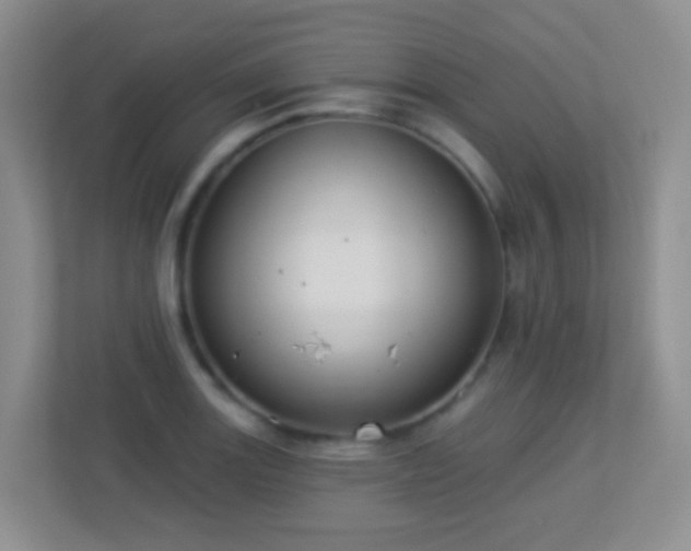 X0000113881131200909241347