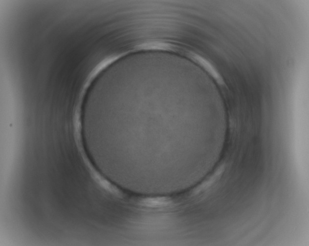 X0000113881133200909241347