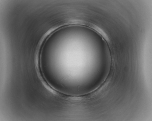 X0000113881136200909241347