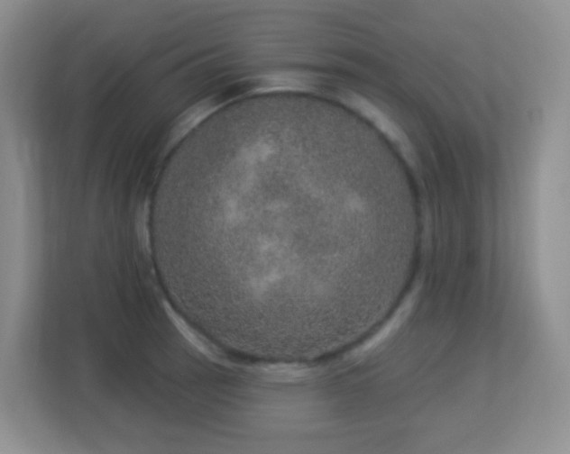 X0000113881137200909241347