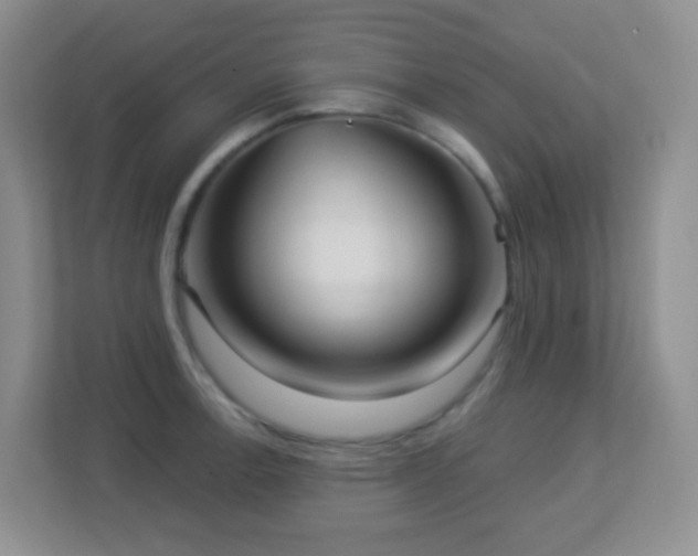 X0000113881138200909241347