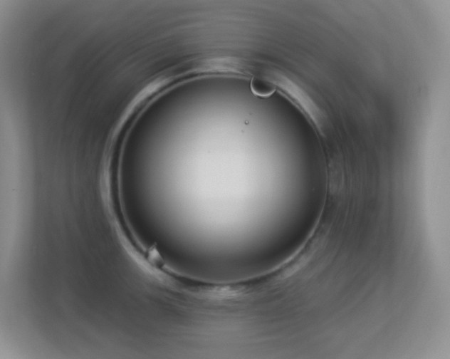 X0000113881139200909241347